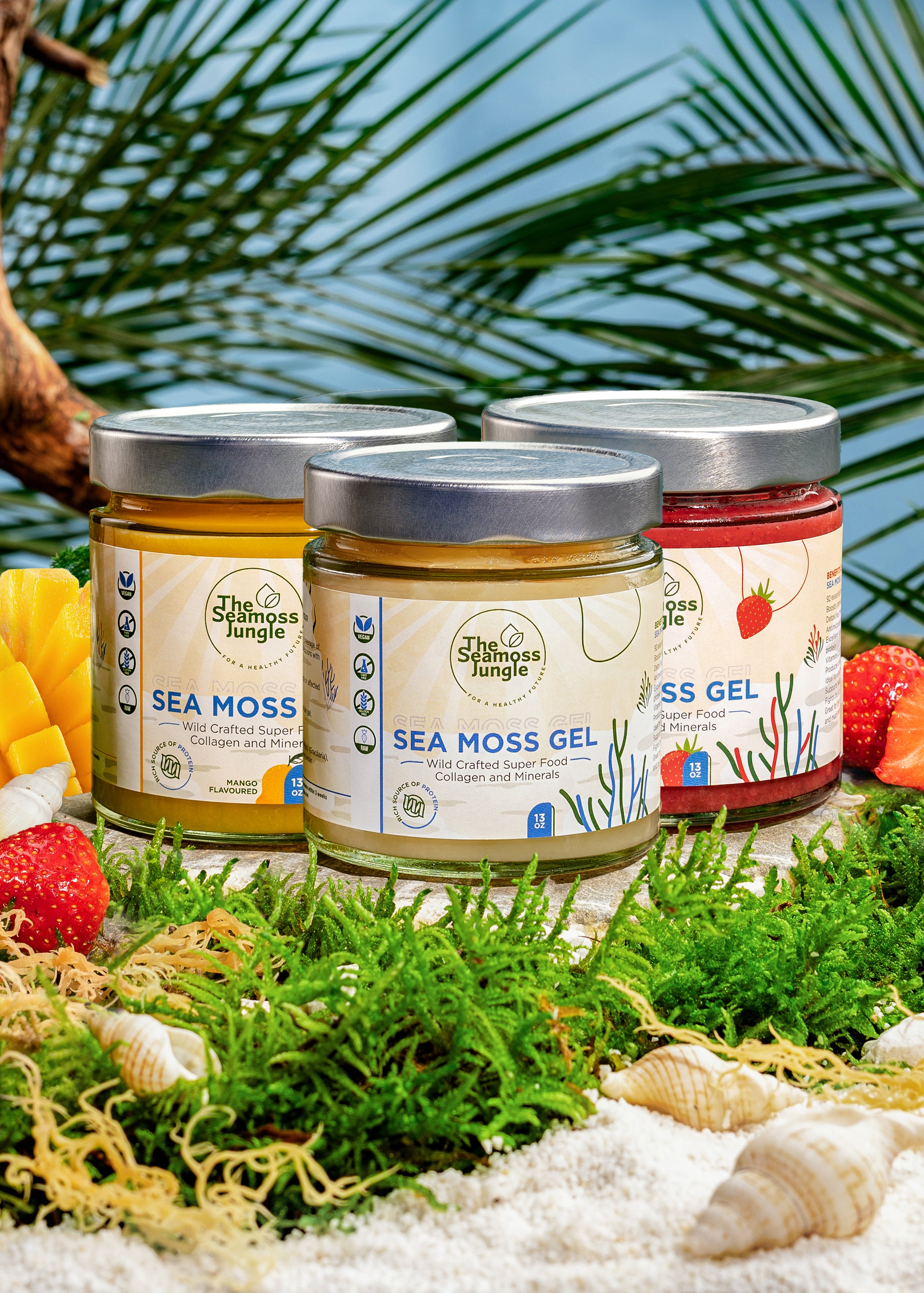 Sea Moss Gel - Familienpaket