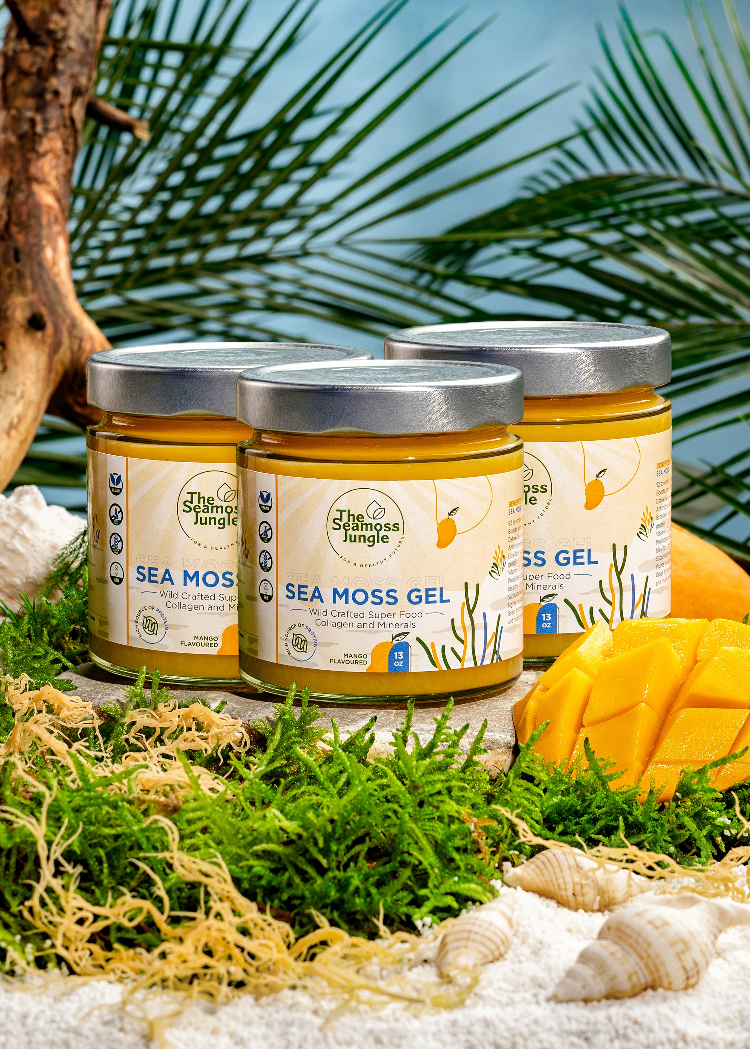 Sea Moss Gel - 3-Monatsvorrat