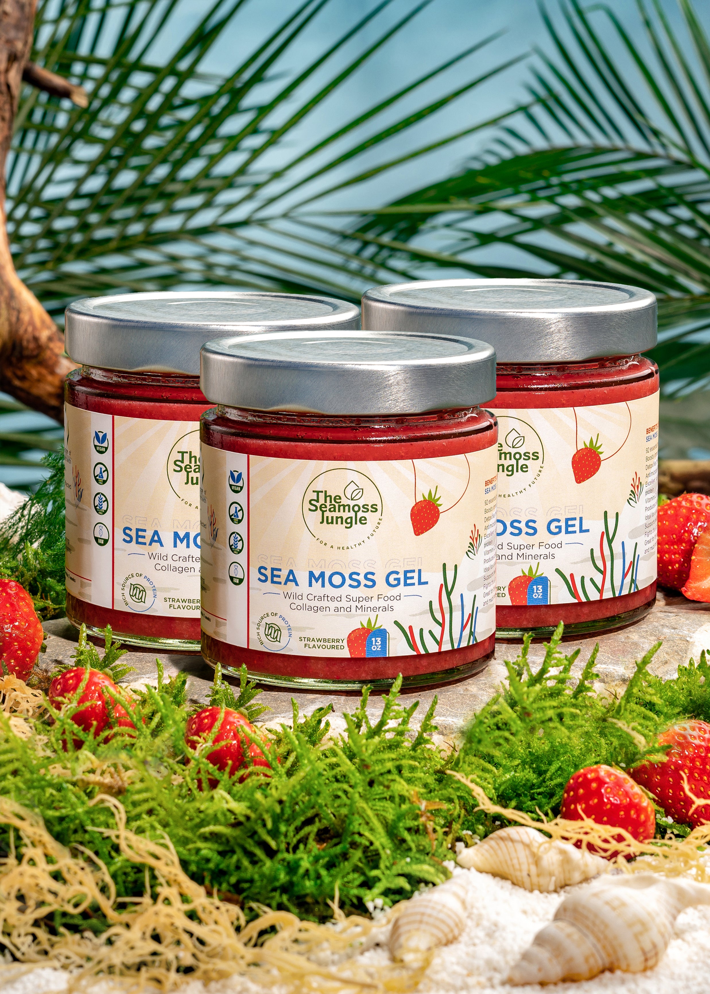 Sea Moss Gel - 3-Monatsvorrat