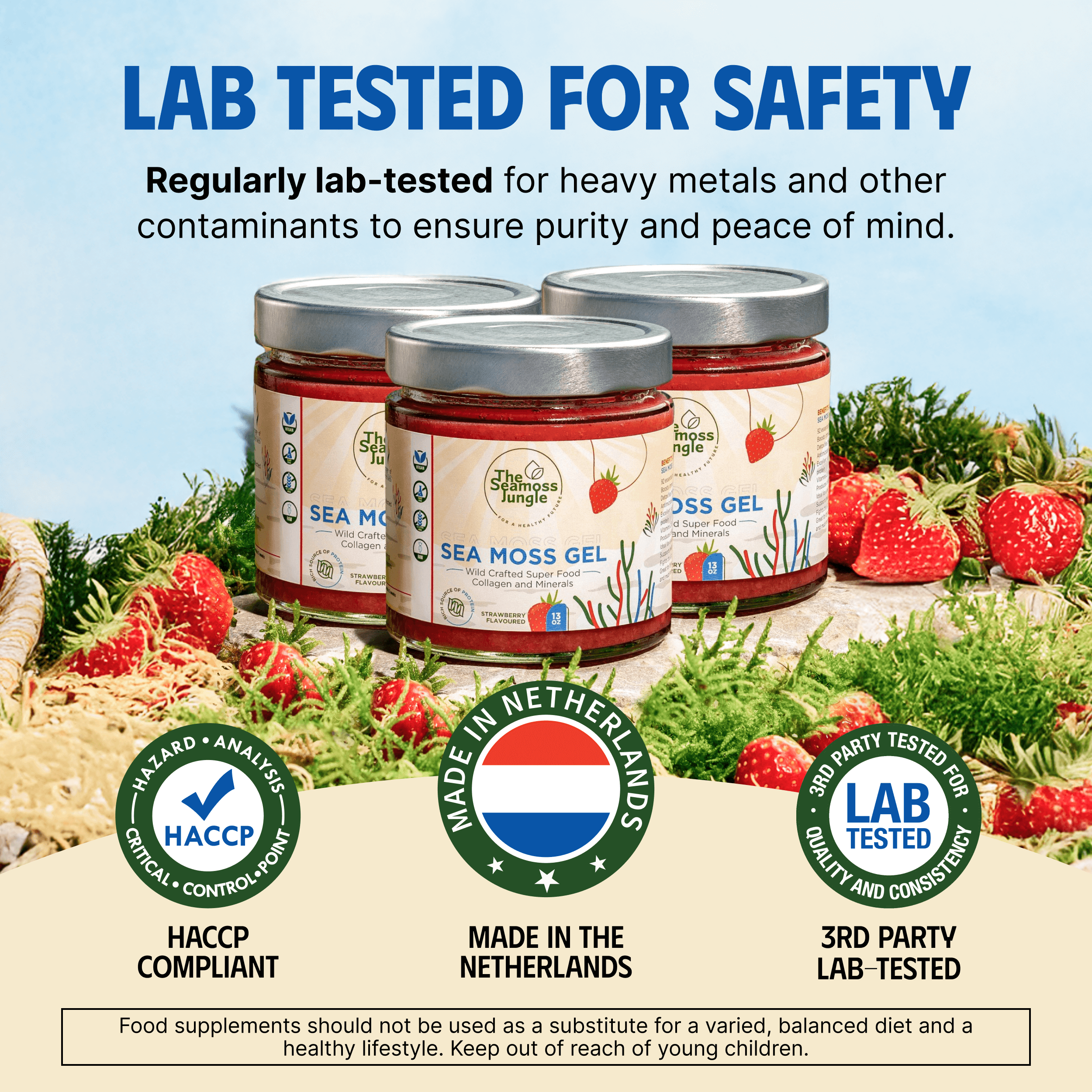 Sea Moss Gel - 3-Monatsvorrat