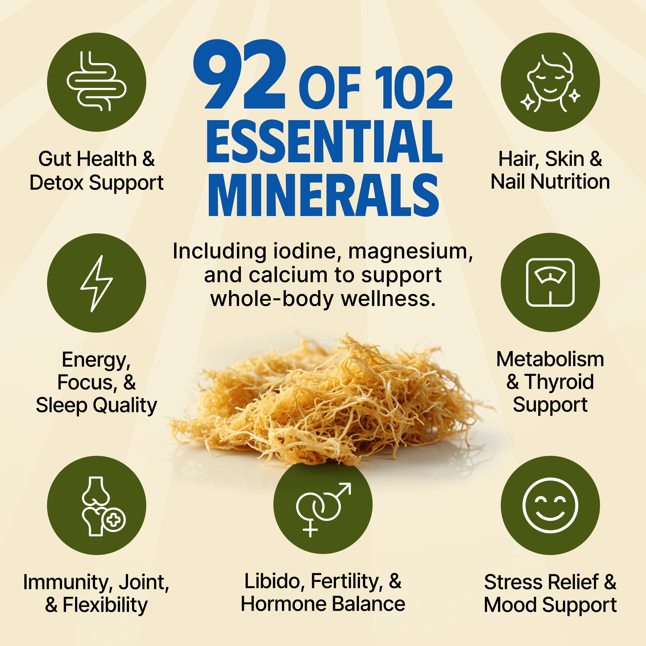 Sea Moss Gel - Ananas 